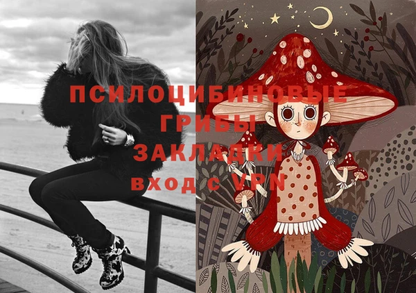 таблы Арсеньев